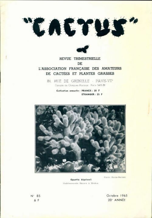 Livrenpoche : Cactus n°85 - Collectif - Livre