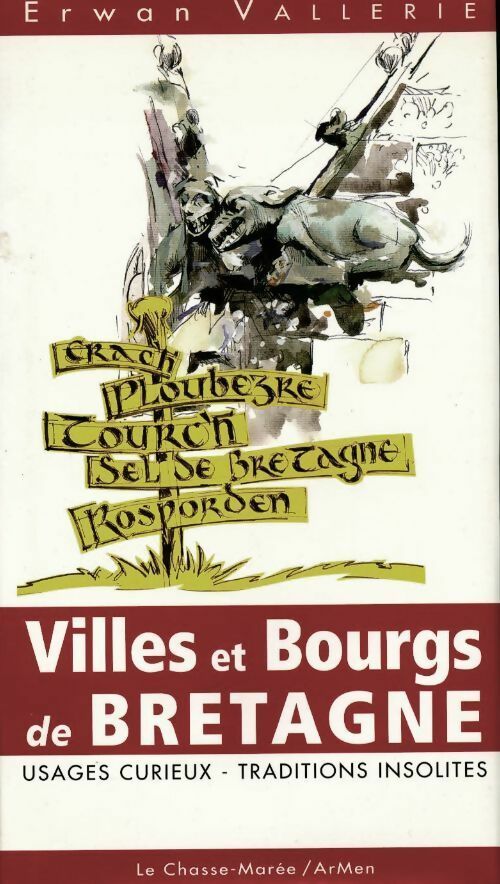 Livrenpoche : Villes et bourgs de Bretagne - Erwan Vallerie - Livre