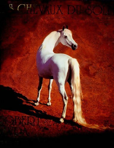 Les chevaux du soleil - Robert Vavra -  Evergreen GF - Livre