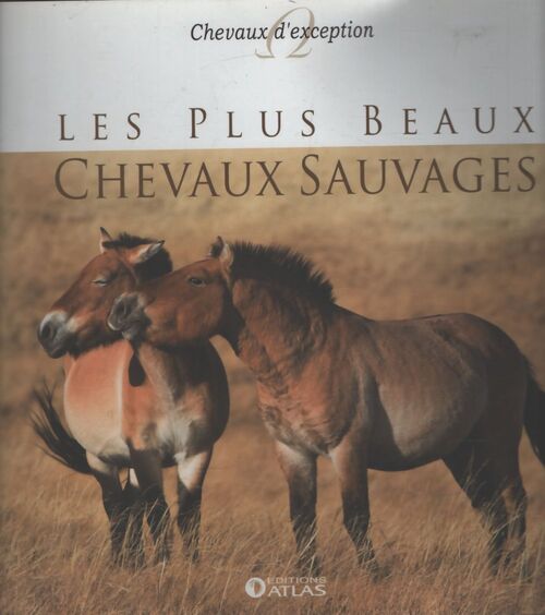 Les plus beaux chevaux sauvages - Collectif - Livre