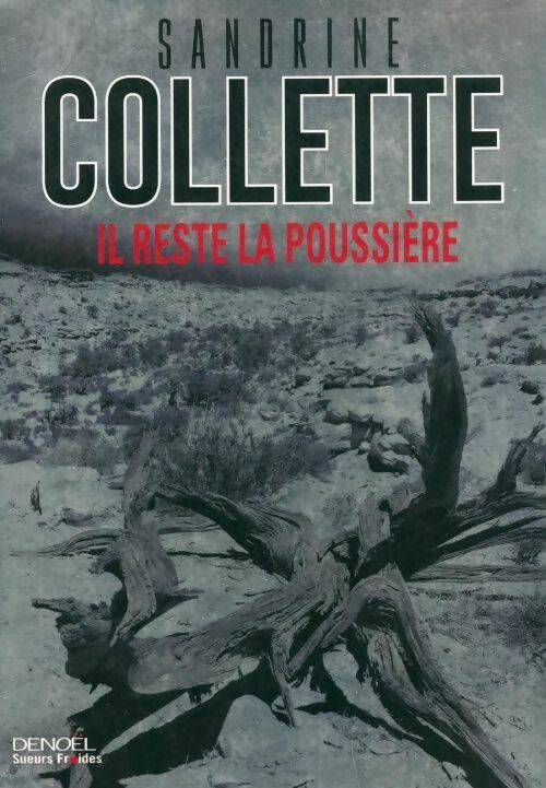 Livrenpoche : Il reste la poussière - Sandrine Collette - Livre