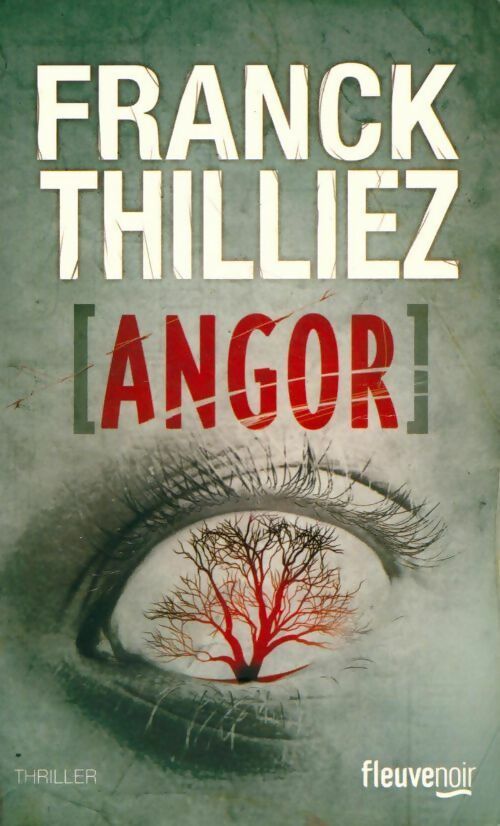 Livrenpoche : Angor - Franck Thilliez - Livre