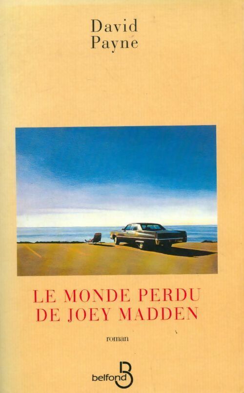 Livrenpoche : Le monde perdu de Joey Madden - Payne David - Livre