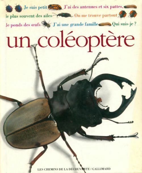 Un coléoptère - Still J -  Les chemins de la découverte - Livre