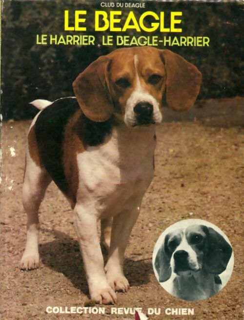 Livrenpoche : Le beagle, le harrier, le beagle-harrier - Collectif - Livre