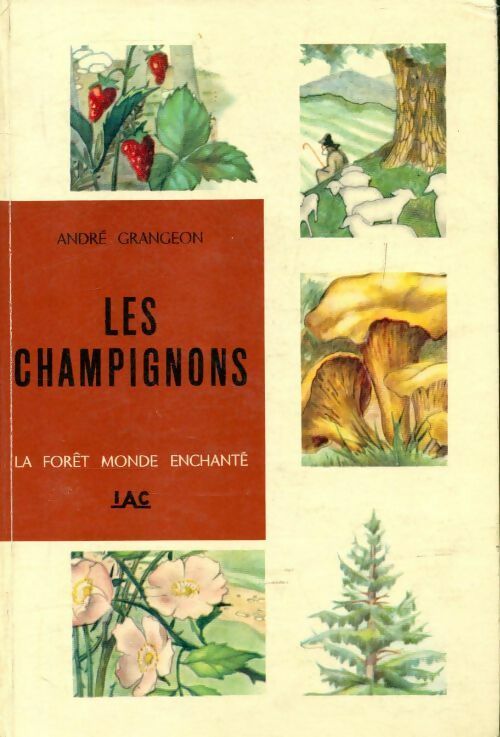 Livrenpoche : Le forêt monde enchantée Tome III : Les champignons - André Grangeon - Livre