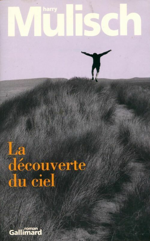 Livrenpoche : La découverte du ciel - Harry Mulisch - Livre