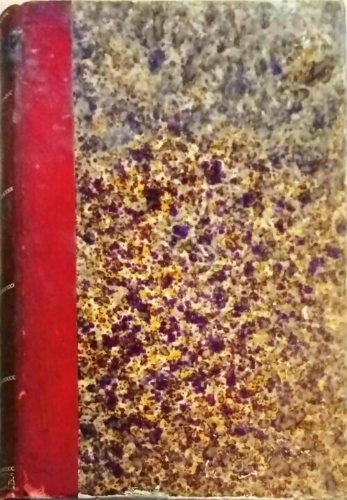 Livrenpoche : Pompon - Hector Malot - Livre