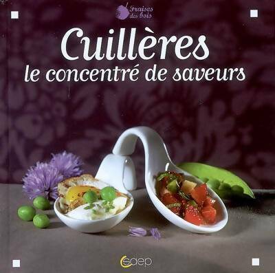 Livrenpoche : Cuillères. Le concentré de saveurs - Capucine Brémond - Livre