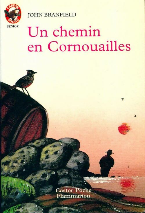 Un chemin en Cornouailles - John Branfield - Livre
