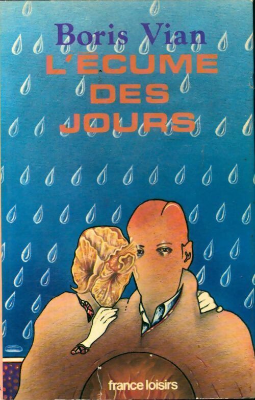 Livrenpoche : L'écume des jours de Boris Vian - Gérard Roubichou - Livre