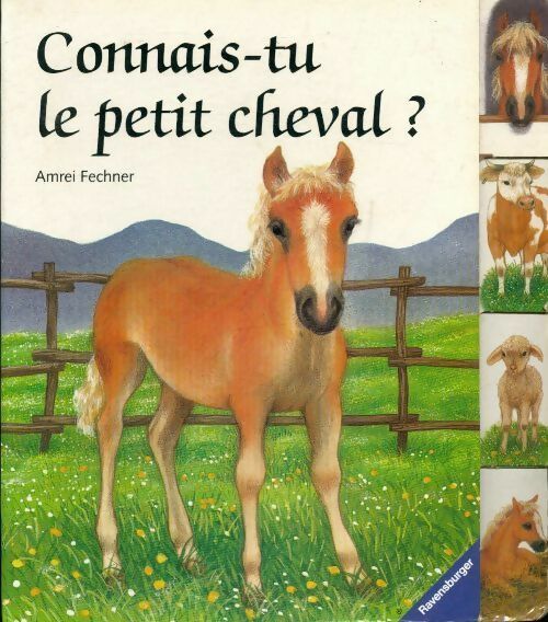Livrenpoche : Connais-tu le petit cheval ? - Amrei Fechner - Livre