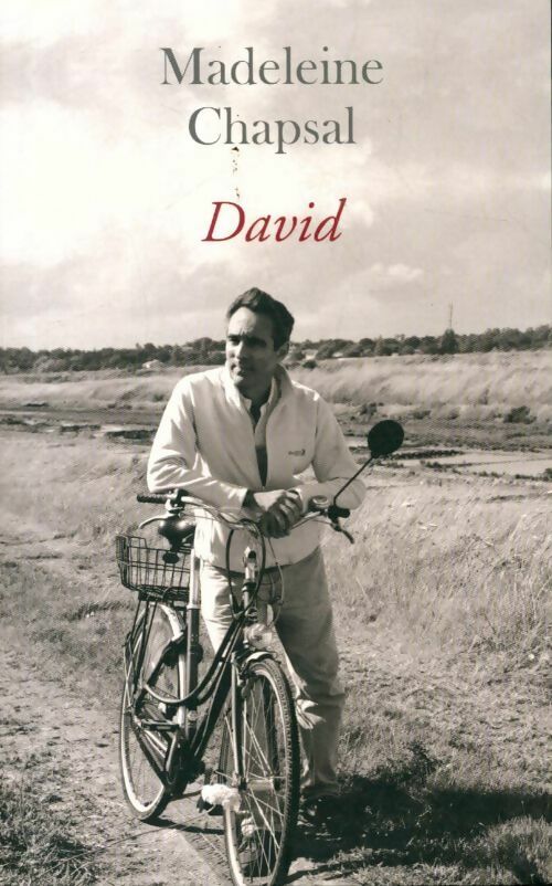 David - Madeleine Chapsal - Livre