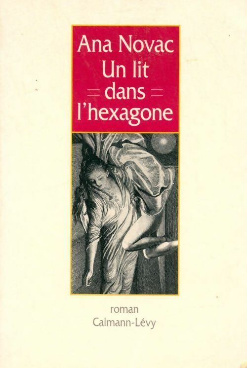 Livrenpoche : Un lit dans l'hexagone - Ana Novac - Livre