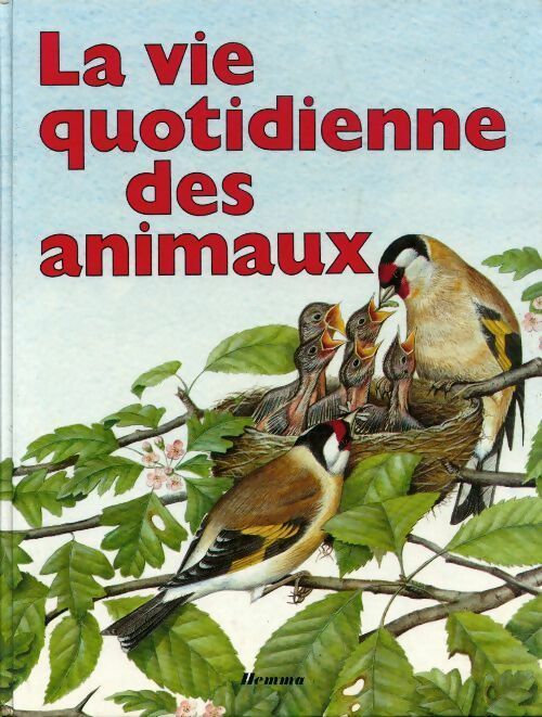 Livrenpoche : La vie quotidienne des animaux - Karen O'Callaghan - Livre