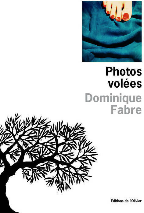 Livrenpoche : Photos volées - Dominique Fabre - Livre