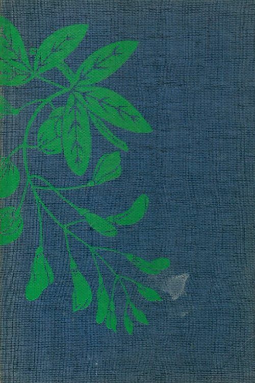 Livrenpoche : Dernier printemps - Joe Lederer - Livre