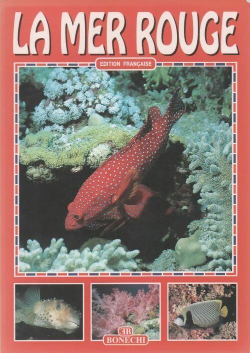 Livrenpoche : La mer rouge - Andrea Ghisotti - Livre
