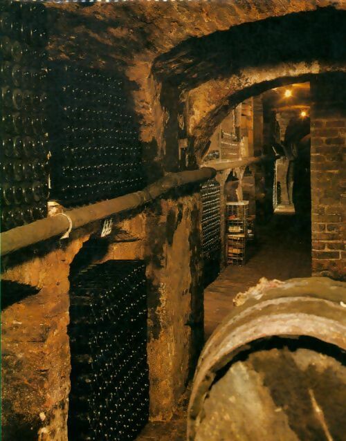 Livrenpoche : Les vins de France et d'ailleurs - André Schelling - Livre
