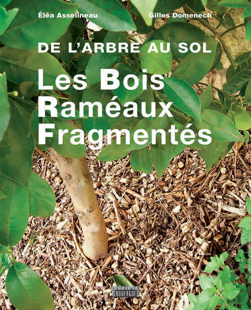 Livrenpoche : Les bois raméaux fragmentés - Gilles Domenech - Livre