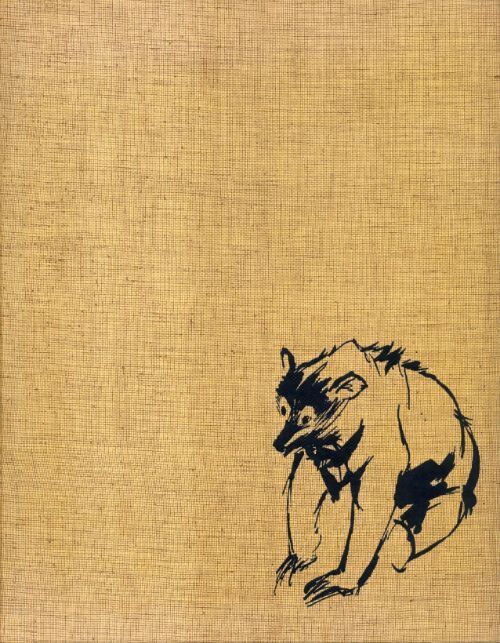 Livrenpoche : Le livre de la jungle - Rudyard Kipling - Livre
