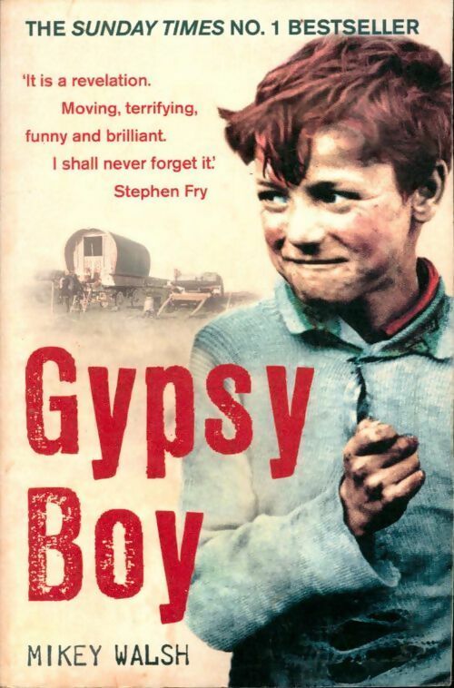 Livrenpoche : Gypsy boy - Walsh Mikey - Livre