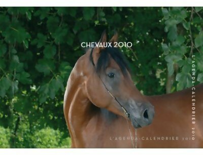 Livrenpoche : Agenda calendrier chevaux 2010 - Collectif - Livre