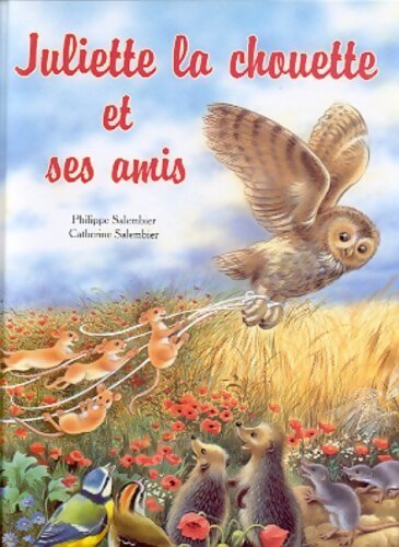 Juliette la chouette et ses amis - Philippe Salembier - Livre