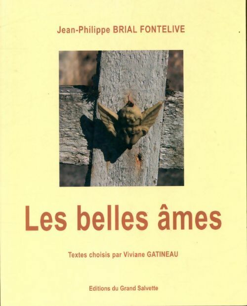 Livrenpoche : Les belles âmes - Jean-Michel Brial - Livre