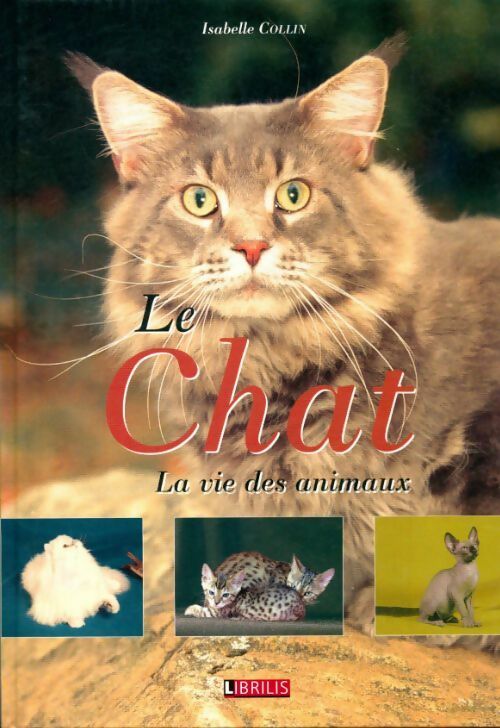 Le chat - Isabelle Collin -  Librilis GF - Livre