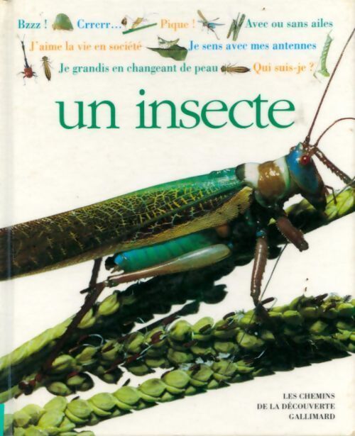 Un insecte - Laurence Mound - Livre