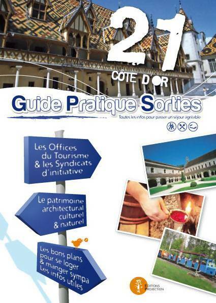 Livrenpoche : Côte-d'or : Guide pratique sorties 2010-2011 - Collectif - Livre