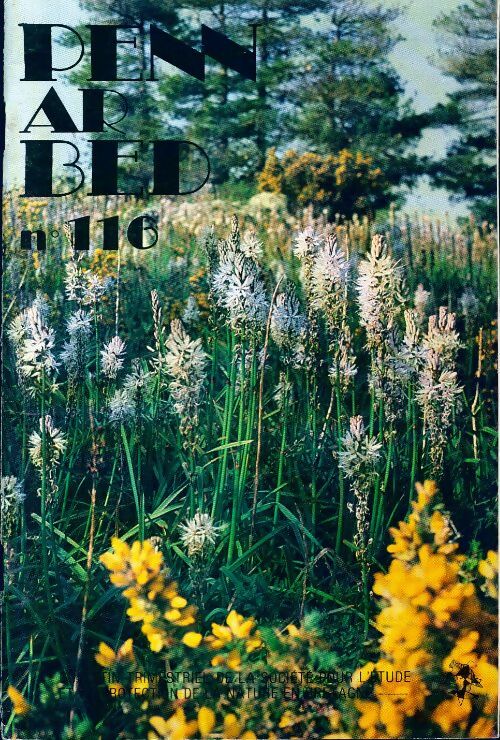 Livrenpoche : Penn ar bed n°116 - Collectif - Livre