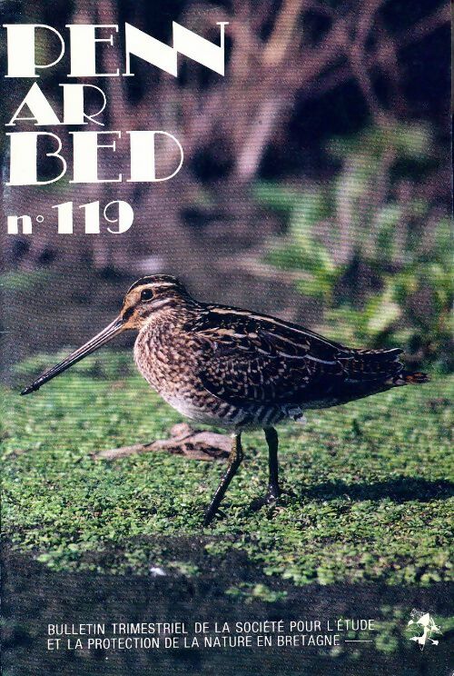 Livrenpoche : Penn ar bed n°119 - Collectif - Livre