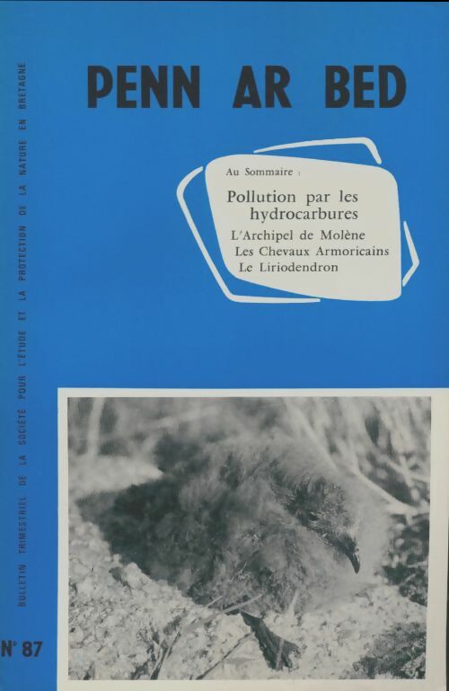 Livrenpoche : Penn ar bed n°87 - Collectif - Livre