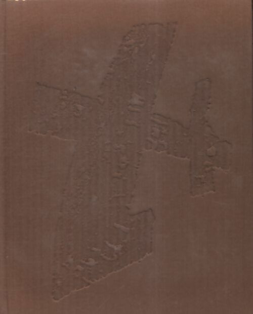 Livrenpoche : Un combat pour Dieu Tome II - Henry Daniel-Rops - Livre