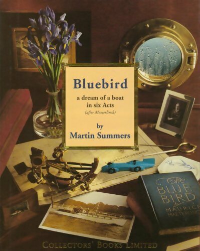 Livrenpoche : Bluebird - Martin Summers - Livre