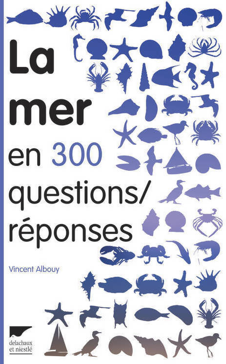 La mer en 300 questions/réponses - Vincent Albouy - Livre
