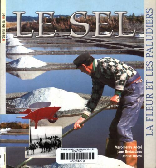 Livrenpoche : Le sel - Marc-Henry André - Livre