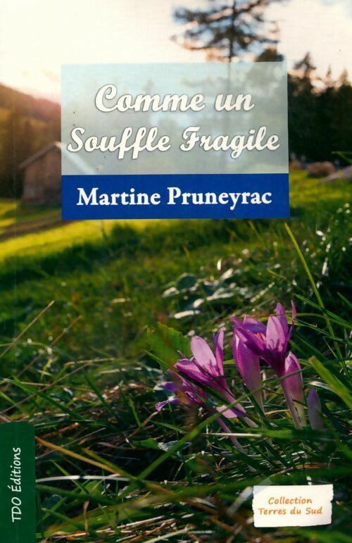 Livrenpoche : Comme un souffle fragile - Martine Pruneyrac - Livre