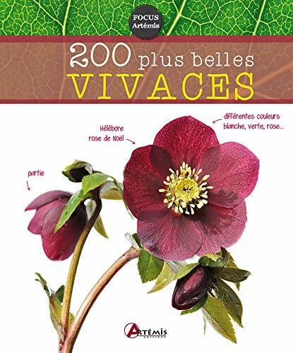 Livrenpoche : 200 plus belles vivaces - Michel Beauvais - Livre