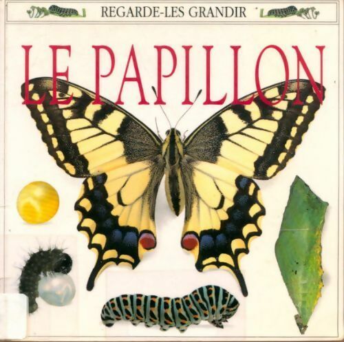 Livrenpoche : Le papillon - Kim Taylor - Livre