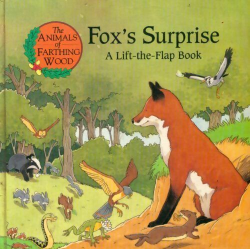 Livrenpoche : Fox's surprise. A Lift-the-flap book - Caryn Jenner - Livre