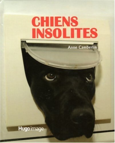 Chiens insolites - Anne-Marie Cattelain - Livre