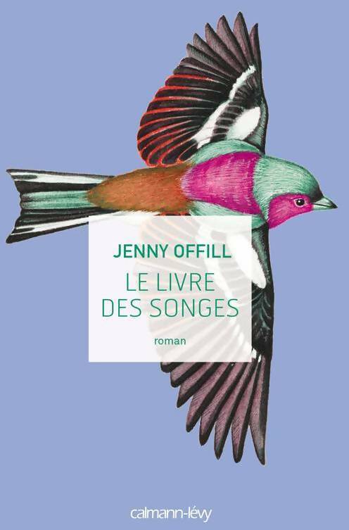 Le livre des songes - Jenny Offill - Livre