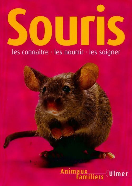 Livrenpoche : Souris - Heike Schmidt-Röger - Livre