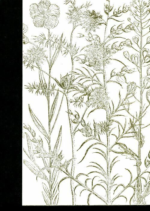 Livrenpoche : Santé et beauté par les plantes - Jean Fondin - Livre