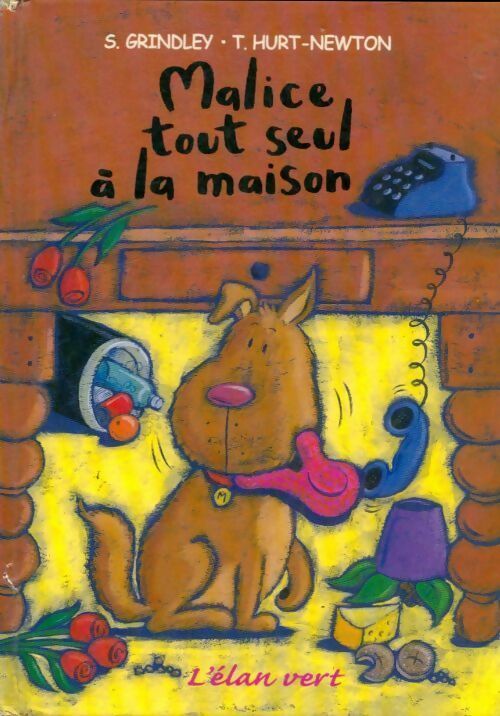 Livrenpoche : Malice tout seul à la maison - S Grindley - Livre