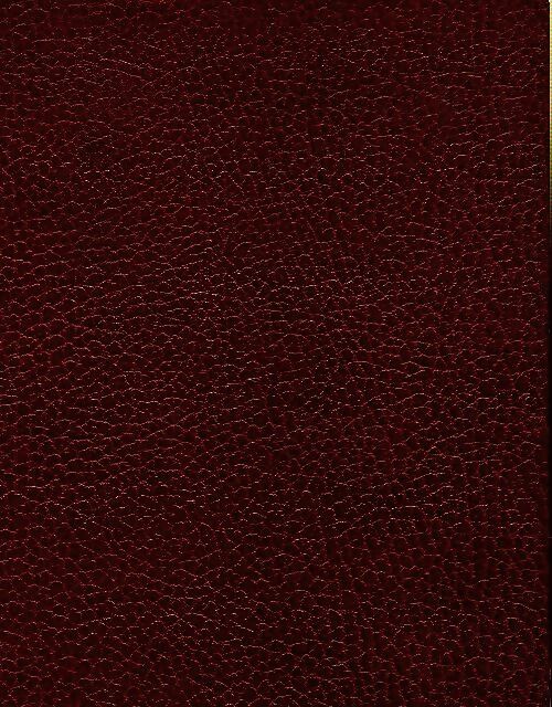 Livrenpoche : Le nabab - Alphonse Daudet - Livre