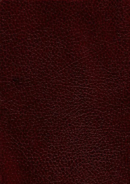 Livrenpoche : Jack - Alphonse Daudet - Livre